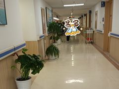 -上海市第四人民医院