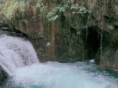 -大奇山国家森林公园