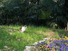 -金良酸菜鱼(宁海路总店)