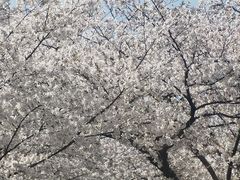 -范蠡湖公园
