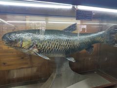 -南京金牛湖风景区