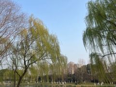 -滨湖塘西河公园