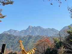 -九华山风景区