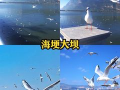 -海埂大坝