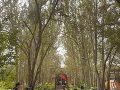 -艾提尕尔清真寺