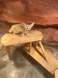 -Zoolung Zoolung动物主题公园(海信广场店)