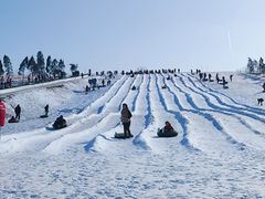 -绿野森林乐园冰雪季