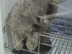 -瑞鹏宠物医院·超声·骨科·奇麟分院(蜀都万达店)