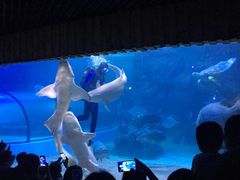-左海海底世界