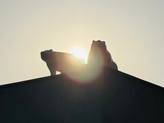 -chi K11艺术空间展览厅