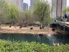 -长白岛森林公园