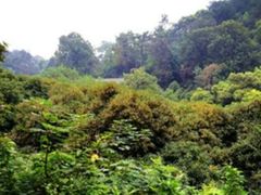 -杭州少年儿童公园