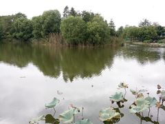 -新江湾城公园