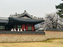 -景福宫