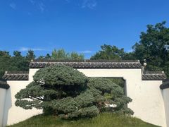 -盆景园(扬州大运河文化旅游度假区)
