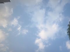 -新珠城鱼坊(龙湖店)