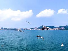 -长岛南北长山旅游景区