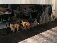 -金典银峰老鹅馆·昆山菜(亭林公园店)