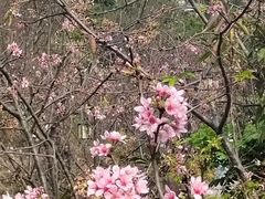 -小南山公园