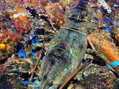 -徐记海鲜(曲江南湖店)