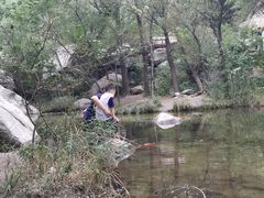-碓臼峪自然风景区