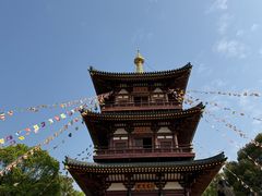 -庐山风景名胜区-东林大佛