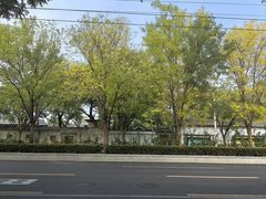 -巴依老爷新疆美食(工体旗舰店)