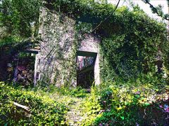-西安交通大学(雁塔校区)