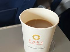 -合肥新桥国际机场-航站楼
