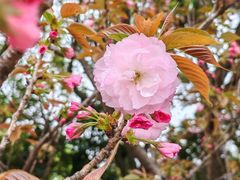 -苏州河梦清园环保主题公园