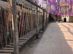-呀路古热带植物园