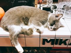 -MIKAKU(万达广场上海宝山店)