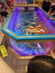 -卡通尼·Safari非洲探索乐园·生日会(金桥国际商业广场店)