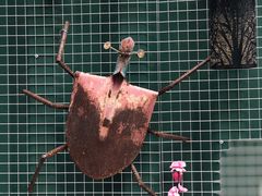 -湖洞水自然风景区