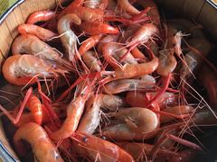 白灼河虾-菠菜美食