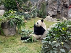 -香港海洋公园