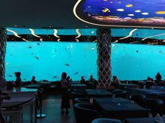 -瑞德姆美人鱼海底演艺主题餐厅(亚龙湾店)