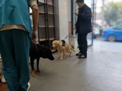 -联合动物医院(光谷诊疗中心)