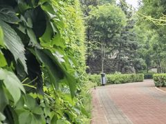 -北京张裕爱斐堡酒庄