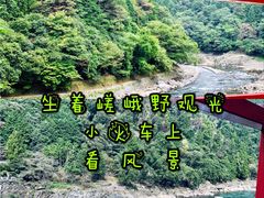 -岚山嵯峨野观光小火车