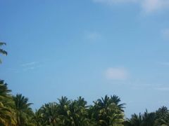 -东郊椰林