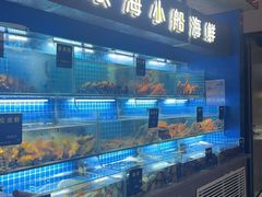 -鸽子侯·家宴·平价海鲜(市图书馆店)