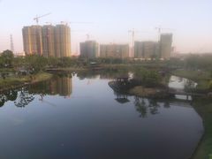 -王借岗森林公园