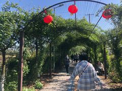 -上海长兴岛郊野公园