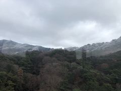 -神户市立六甲山牧场