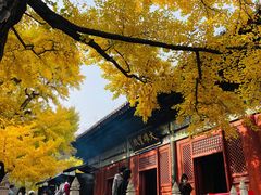 -红螺寺