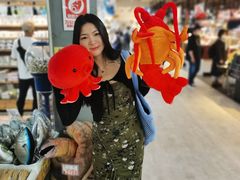 -南纪白浜Toretore市场