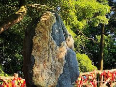 -广州市帽峰山景区