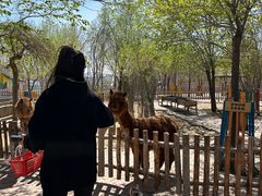 -水上乐园·欢乐世界