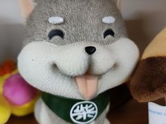 -柴迷FANS CLUB·柴犬狗咖·猫咖